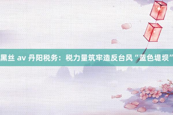 黑丝 av 丹阳税务：税力量筑牢造反台风“蓝色堤坝”