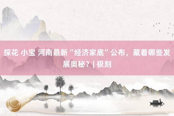 探花 小宝 河南最新“经济家底”公布，藏着哪些发展奥秘？| 极刻