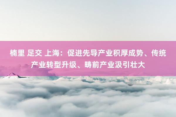 楠里 足交 上海：促进先导产业积厚成势、传统产业转型升级、畴前产业汲引壮大